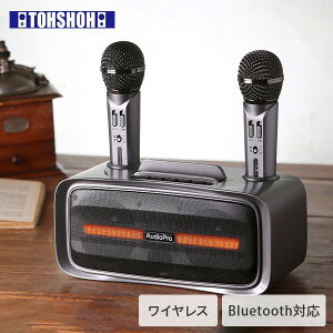 CX}CNXs[J[ }CN2{t JIP ST-2028 }CNXs[J[ JIP}CN Bluetooth CX g USB[d Ƃ傤 yz