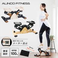 1年保証 サイドステッパー 油圧 シリンダー メーター表示 保護マット付き FAY522/FAY524 ステッパー 有酸…
