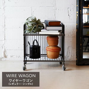 C[S (M[EVO) 2i LX^[t WW-WW-RS S Lb`S VFt bN X`[bN X`[ h[ Tj^[ Q C_XgA 