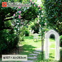 【P5倍 2/10 9:59迄】 フラワーアーチ クロス 幅107×高さ263cm スチール製 FA-CR260 ガーデン ローズアーチ ガーデンアーチ エントランス フレーム 園芸 ガーデニング 庭 入口 簡単 おしゃれ 山善 YAMAZEN ガーデンマスター 【送料無料】