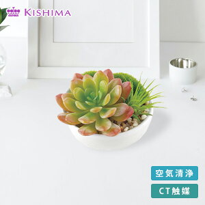 A[eBtBVO[ KH-60988 O[ TLgtE LA[eBtBVO[ CTG} C Rی lHϗtA LV} yz