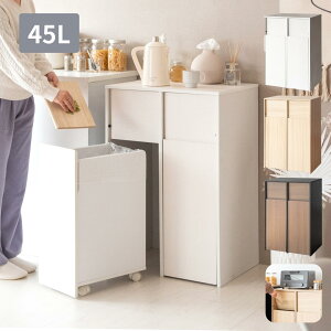 B S~ 45bg 2  60.5 s43 90cm LX^[t  45L Lb` rO o ݔ LX^[ o h[ _Xg{bNX e {쏊 y