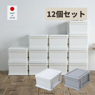 【15%OFFクーポン 7/27 23:59迄】収納ケース 収納ボックス 12個セット 幅35 奥行42 高さ23.3cm 衣装ケー…