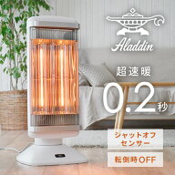 遠赤外線 グラファイトヒーター タイマー機能/首振り機能/縦横回転機能付き 最大1000W CAH-2G10G 電気暖…