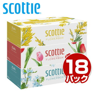 XRbeB eBbVy[p[ t[{bNX 500(250g)3×18pbN(54) scottie eBbV eBV[ {bNXeBbV eBbV e  { {NVA y