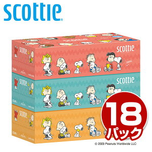 XRbeB eBbVy[p[ Xk[s[ 440(220g)3×18pbN(54) eBbV eBV[ {bNXeBbV eBbV e  RpNg  킢 { ܂