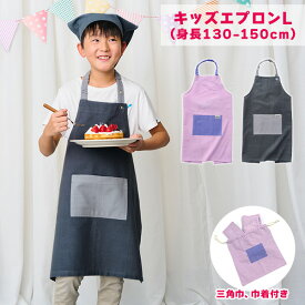 キッズエプロン L (身長：130-150cm) 三角巾・巾着付き 子供用 エプロン 3点セット 学校行事 家庭科 調理実習 給食 配膳 お手伝い 男の子 女の子 キッズ 小学校 小学生 中学年 高学年 おしゃれ かわいい シンプル 綿100％ レップ REP 【送料無料】