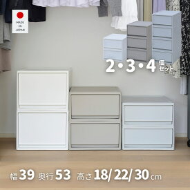 中が透けない 収納ケース 引き出し 奥行53 2個組/3個組/4個組 収納ボックス 幅39 奥行53 高さ18/22/30cm 衣装ケース クローゼット収納 クローゼット WIC 押入れ収納 押入れ ポリプロピレン プラスチック 日本製 【送料無料】