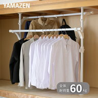 押入れ 突っ張り ハンガーラック ダブル 2本掛け 幅73-120 奥行35 高さ88-124cm ホワイト(ツヤなし) 押入…