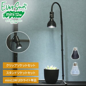 y|Cg5{z A琬Cg EVERSUN365 MINI Nbv/X^h/Cg Zbg̔ EVERSUN365 MINI A琬 LEDCgv X^h Ɩ ϗtA A k͔| eE򍪐A T