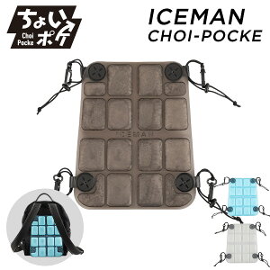 y|Cg5{z ACX} ICEMAN ⊴V[g 傢|P PCM p bN hZ  ֎q ICM-CP MǑ΍ V ҏ  d W[ R^ yz