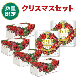 ティッシュペーパー トイレットペーパー クリスマス限定パッケージ 詰め合わせカシミヤ×4箱 システィ×2パック 9396 スコッティ クリネックス ティシュー ダブル 無香料 数量限定 日用品 消耗品 プレゼント 日本製紙クレシア 【送料無料】