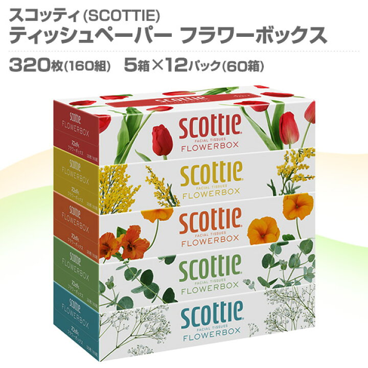 楽天市場】スコッティ ティッシュペーパー フラワーボックス 320枚(160組)5箱×12パック(60箱) ティシュペーパー まとめ買い ケース販売  日用品 最安値 ティッシュ 日本製紙クレシア 【送料無料】 : くらしのｅショップ