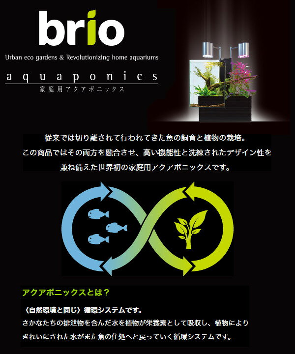楽天市場 50hz専用 ブリオ35 家庭用 アクアポニックス 水槽 植物 生体 砂利は付属しません 水槽 アクアポニクス インテリア水槽 熱帯魚 観葉植物 金魚 植物 アクアリウムファンタジーワールド 送料無料 くらしのｅショップ