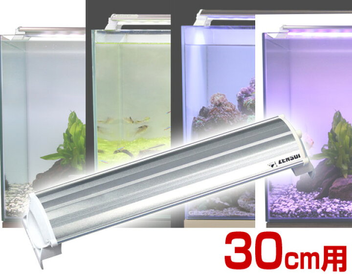 楽天市場 Ledランプ 30cm 水槽用 照明 ライト 水槽用照明 Ledライト 鑑賞魚 熱帯魚 アクアリウム アクセサリー ゼンスイ 送料無料 くらしのｅショップ