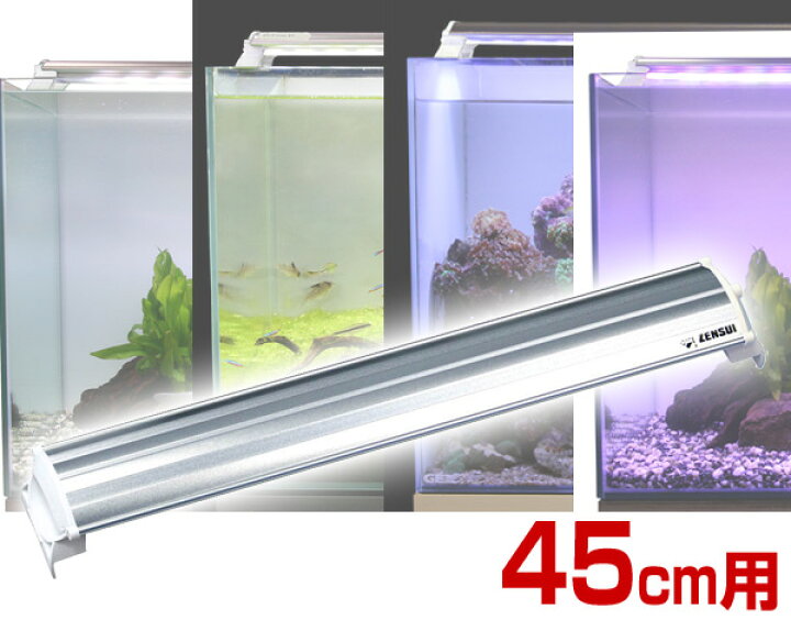 楽天市場 Ledランプ 45cm 水槽用 照明 ライト 水槽用照明 Ledライト 鑑賞魚 熱帯魚 アクアリウム アクセサリー ゼンスイ 送料無料 くらしのｅショップ