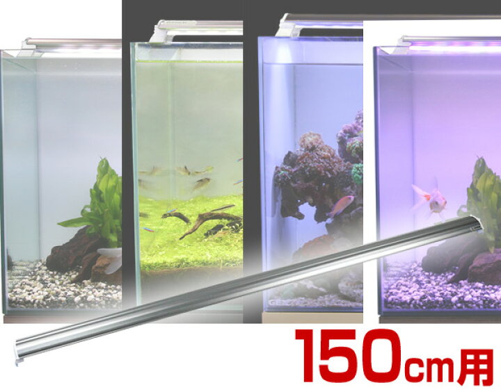 楽天市場】LEDランプ 150cm 水槽用 照明 ライト 水槽用照明 LEDライト 