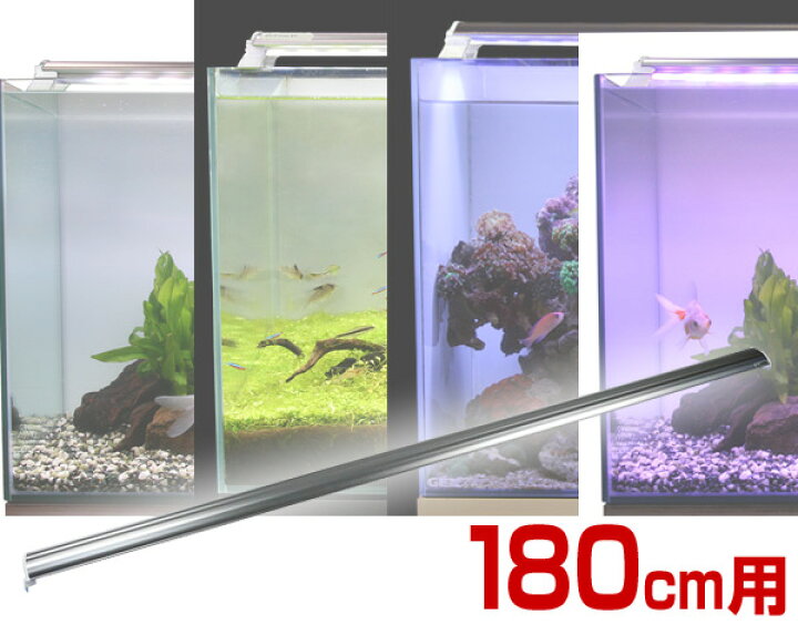 楽天市場 Ledランプ 180cm 水槽用 照明 ライト 水槽用照明 Ledライト 鑑賞魚 熱帯魚 アクアリウム アクセサリー ゼンスイ 送料無料 くらしのｅショップ
