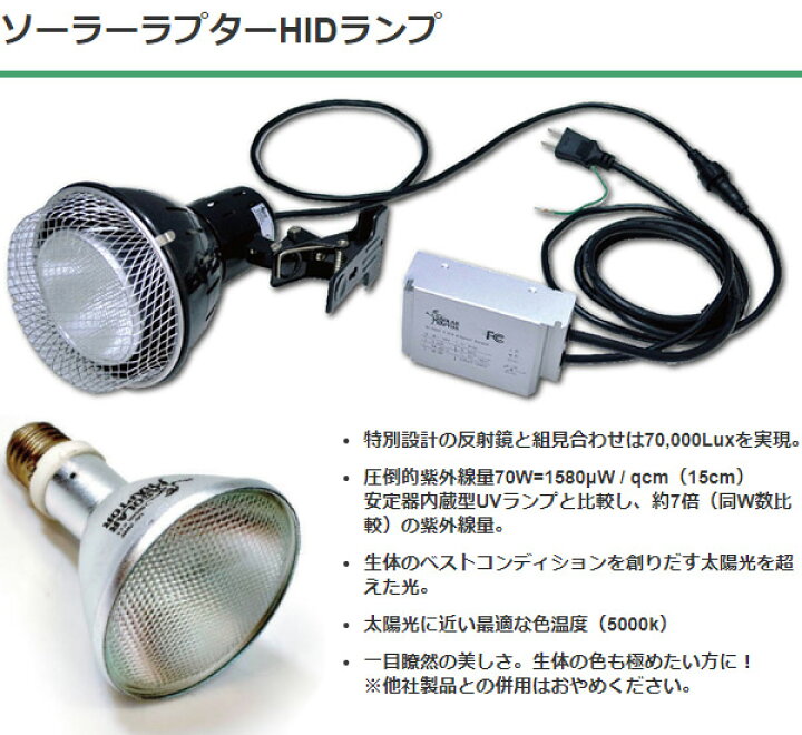 楽天市場】SOLAR RAPTOR HIDランプ 70W ソーラーラプター ソーラー 