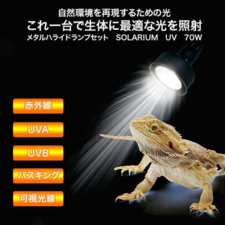 楽天市場】ソラリウム 70Wセット (メタルハライドランプ+共通安定器+ 