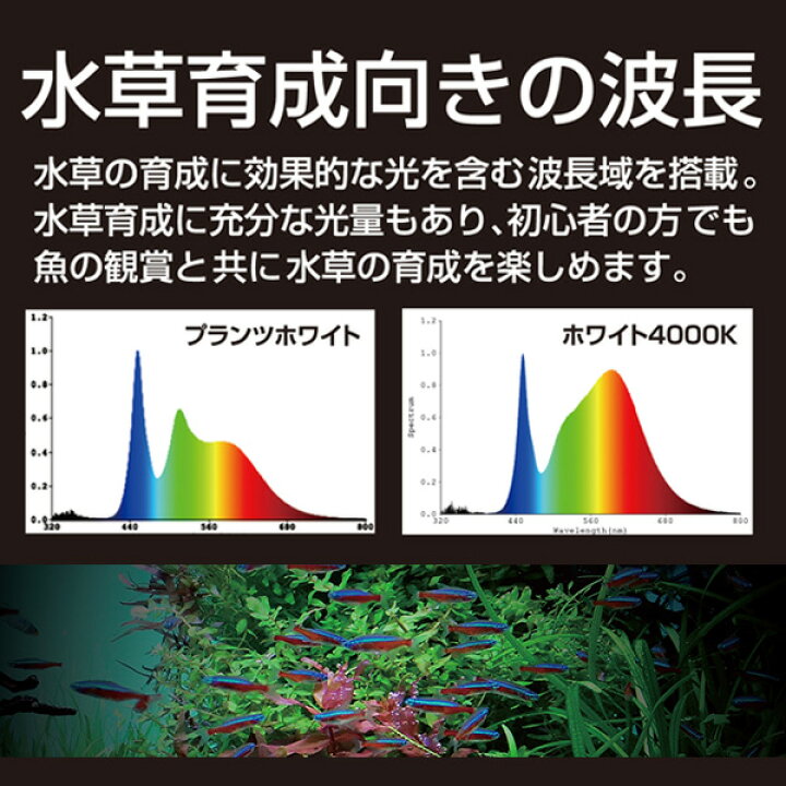 楽天市場】水槽用 照明 ライト 水中マルチカラー LED 1200 (1600lm 