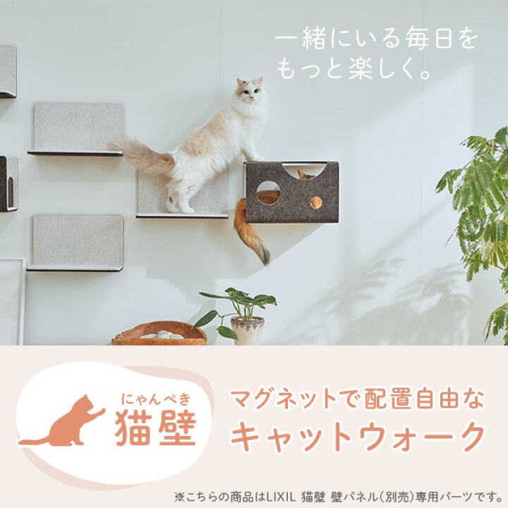 楽天市場】猫壁 ステップ マグネット式 キャットステップ 壁面 