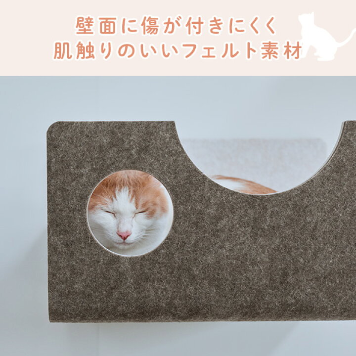 楽天市場】猫壁 ボックス マグネット式 キャットステップ 壁面 