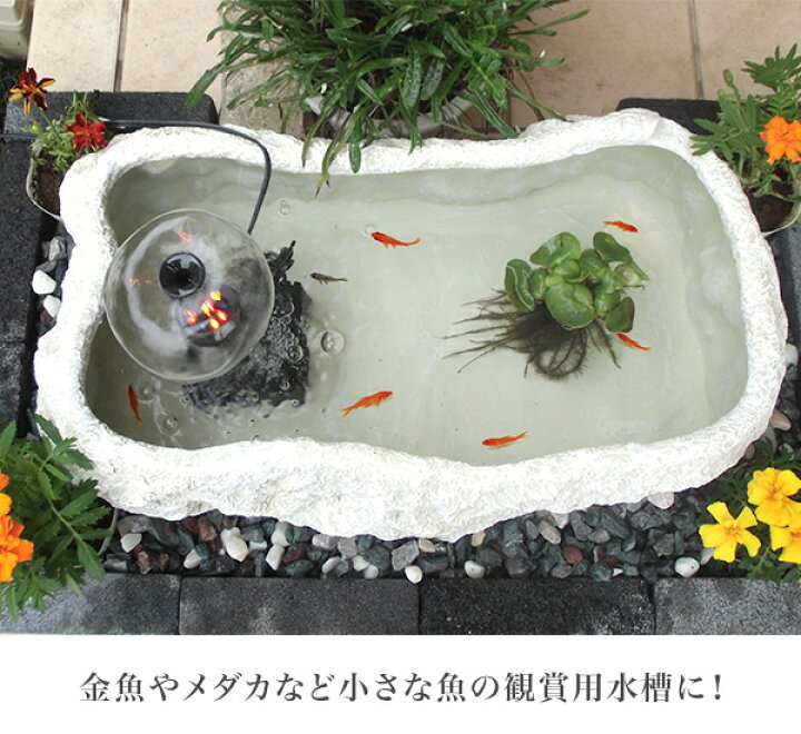 水槽 池
