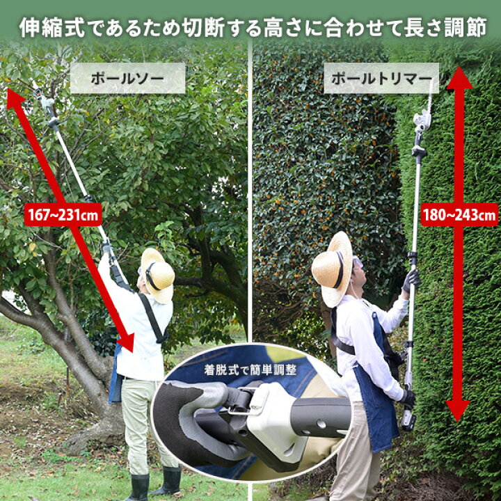 楽天市場】【15%OFFクーポン 4/27 23:59迄】【電池パック1個増量中 
