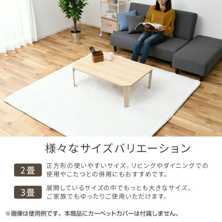 楽天市場】制菌・消臭 ホットカーペット 「敷く消臭元」 2畳 3畳 二畳 