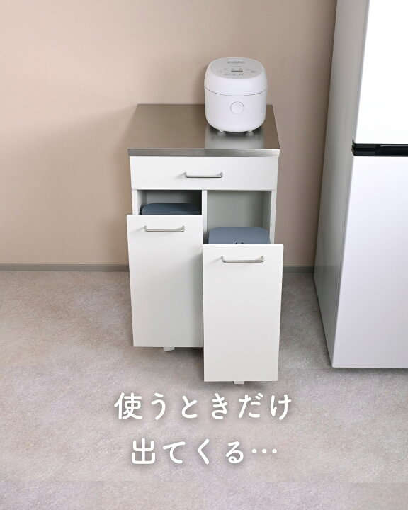 楽天市場】隠せる ゴミ箱 フタ付き 2分別 14L キッチンカウンター 