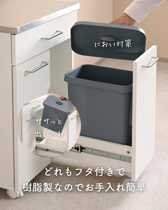 楽天市場】隠せる ゴミ箱 フタ付き 2分別 14L キッチンカウンター 