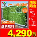 山善(YAMAZEN) グリーンフェンス リーフラティス(約100×200cm)ダブルリーフタイプ LLHW-12C/LLSW-12C グリーンフェンス 緑のカ...