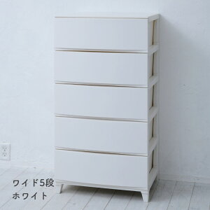 `FXg ߑP[X [P[X 3i/4i/5i X/Ch 34/54 s42  68/87.5/107cm [X h[`FXg [{bNX o ^X vX`bN l炵 ʏ [ 