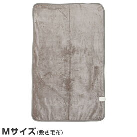 電気毛布 フランネル電気敷毛布 敷き毛布 電気掛敷毛布 掛け敷き毛布 制菌 消臭 「寝る消臭元」 YKSG-F34/YKSG-F44 節電 電気毛布 ひざ掛け毛布 ひざ掛け ブランケット 敷き毛布 敷毛布 おしゃれ 140×80cm 188×130cm 山善 YAMAZEN 【送料無料】