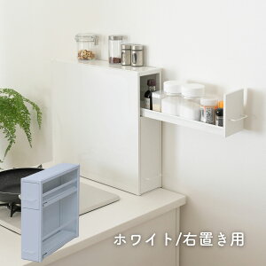 bN o 2i 13 s50 48.4cm B  XpCXbN X e R Lb`[ Ԏ[ Lb`XgbJ[ O { yz