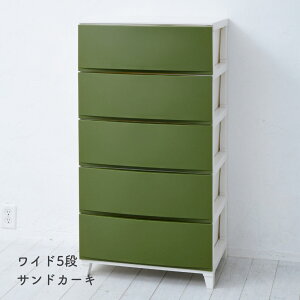 `FXg ߑP[X [P[X 3i/4i/5i X/Ch 34/54 s42  68/87.5/107cm [X h[`FXg [{bNX o ^X vX`bN l炵 ʏ [ 