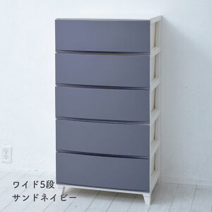 `FXg ߑP[X [P[X 3i/4i/5i X/Ch 34/54 s42  68/87.5/107cm [X h[`FXg [{bNX o ^X vX`bN l炵 ʏ [ 