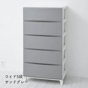 `FXg ߑP[X [P[X 3i/4i/5i X/Ch 34/54 s42  68/87.5/107cm [X h[`FXg [{bNX o ^X vX`bN l炵 ʏ [ 