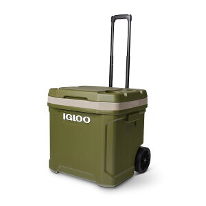 �C�O���[ �L���X�^�[�t�� �N�[���[�{�b�N�X ��^ ���e�B�`���[�h 60���[���[ (57L) 34664/34666/35258/34718 �z�C�[�� �ԗ� �^�C�� �N�[���[BOX �N�[���[�o�b�O �ۗ�o�b�O ������� �X�|�[�c �C�O���[