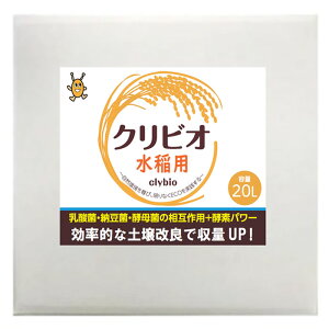 NrI@p20bgL@JASKiʕ\1KތIȓyǂŎʃAbv