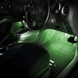 ジューク（F15 YF15 NF15）用LEDフットライトキット フットランプ ルームランプ 足元照明 ライト カー用品 自動車エーモン e-くるまライフ(Nissan ニッサン)