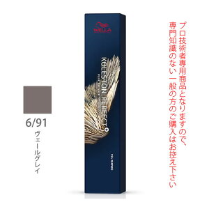 EG RXg p[tFNg + ivXj 6/91 F[OC 80g i1܁j 򕔊Oi