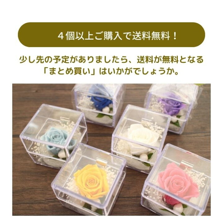 楽天市場】大きく開花した プリザーブドフラワー バラ 薔薇 ミニ 