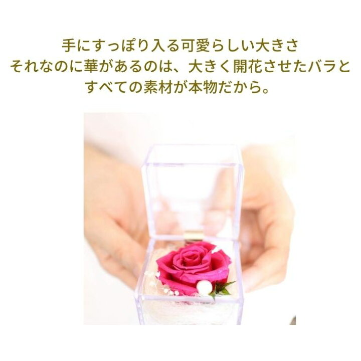 楽天市場】大きく開花した プリザーブドフラワー バラ 薔薇 ミニ 