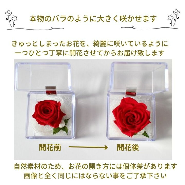 楽天市場】大きく開花した プリザーブドフラワー バラ 薔薇 ミニ 