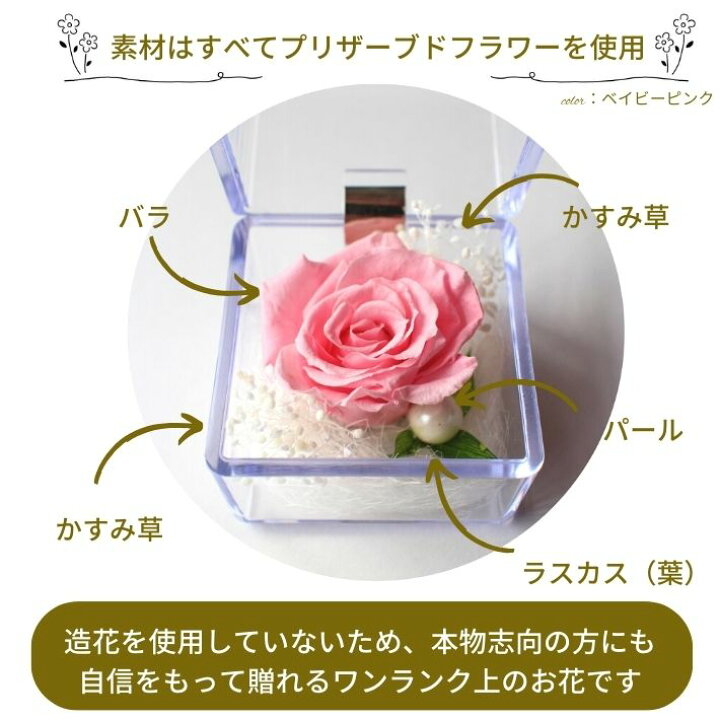 楽天市場】大きく開花した プリザーブドフラワー バラ 薔薇 ミニ 