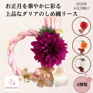 yyVX[p[SALE20%OFFzߓ  a_ _AƉԐ؁ia14Z`jS4  ߏ ߓ [X 킢 m A ߓ ߏ   