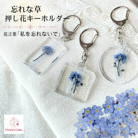 大好きな忘れな草がイッパイ！ レースがフェミニンな 押し花 キーホルダー 花 ギフト プレゼント 実用的 プチギフト 大人可愛い おしゃれ かわいい 本物の花 自転車 鍵 誕生日 退職 女性 レディース バッグチャーム レジン アクリル ボタニカル ホワイトデー