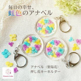 虹色あじさい 押し花 キーホルダー 花 ギフト プレゼント 実用的 プチギフト 大人可愛い おしゃれ かわいい 本物の花 自転車 鍵 誕生日 退職 女性 レディース バッグチャーム レジン アクリル ボタニカル 紫陽花 アジサイ ホワイトデー